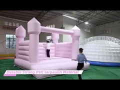 Infiammabile Beige Bouncy Castle Bouncing Castle Commerciale resistente ai raggi UV