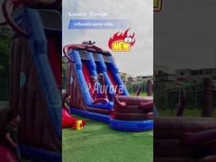 Polpo scivolo d'acqua gonfiabile Piccola piscina Cortile scivolo d'acqua gonfiabile in vendita
