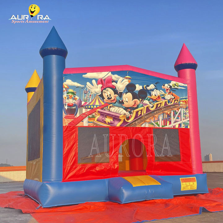 Outdoor Commercial Bouncer gonfiabile PVC Colorevoli Adulti Bambini Salto Castello