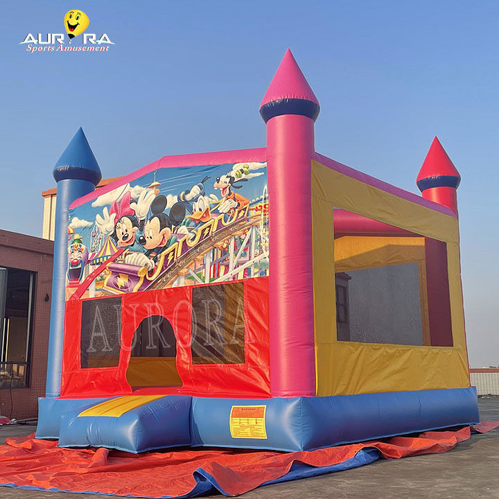 Outdoor Commercial Bouncer gonfiabile PVC Colorevoli Adulti Bambini Salto Castello