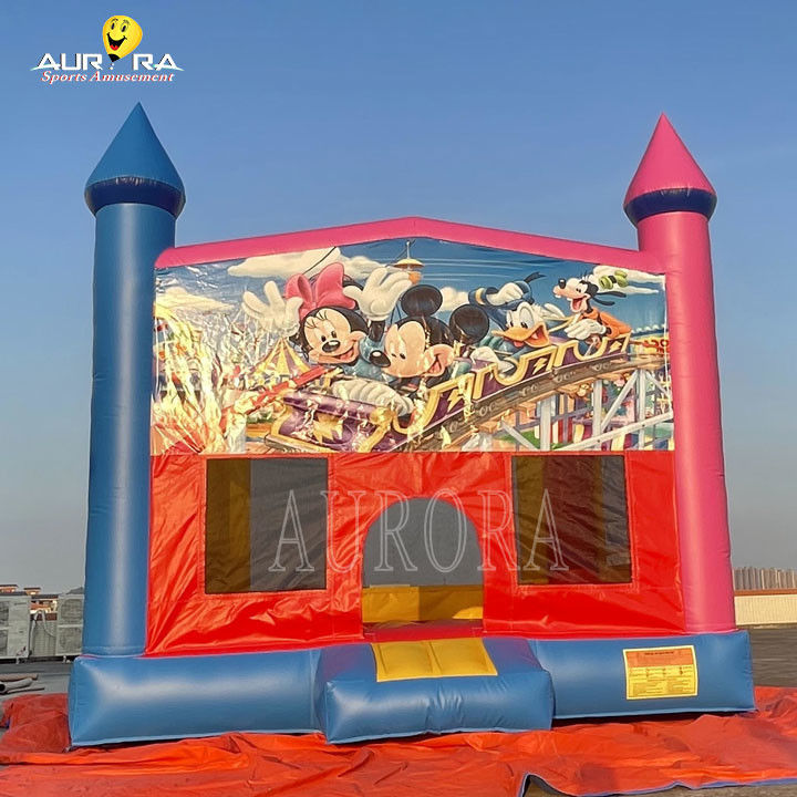 Outdoor Commercial Bouncer gonfiabile PVC Colorevoli Adulti Bambini Salto Castello