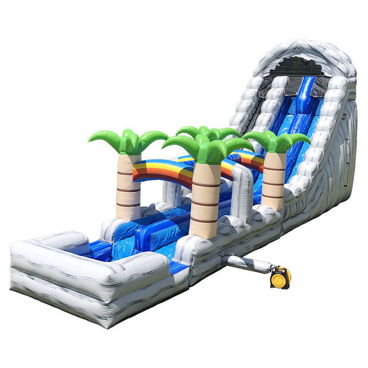 Scivolo gonfiabile in acqua scivolo di salto Pvc 18ft delfino scivolo d'acqua per piscina