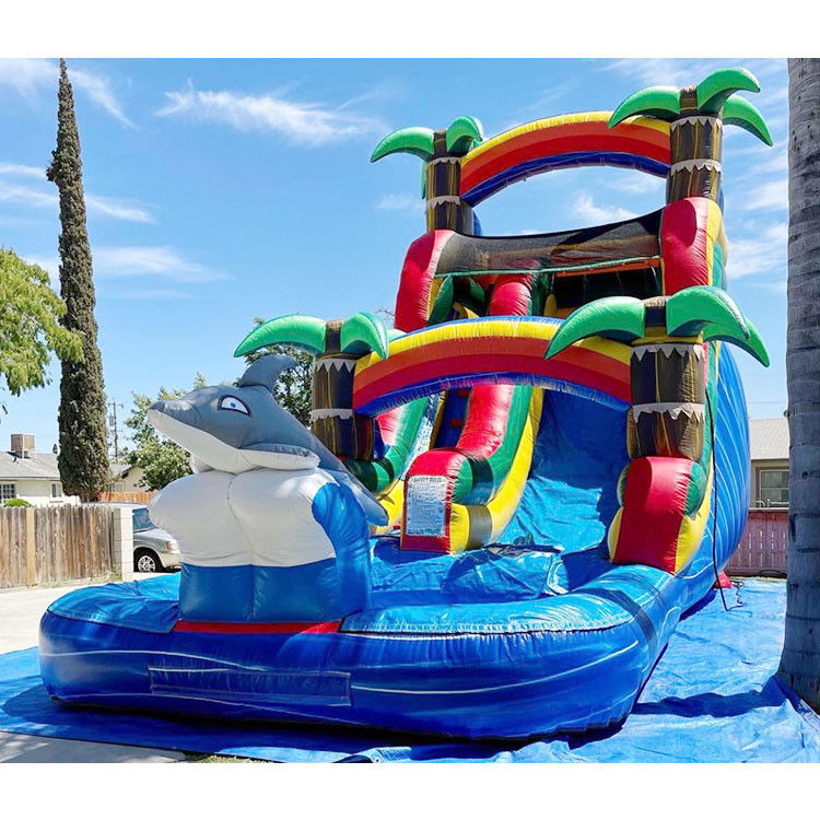 Scivolo gonfiabile in acqua scivolo di salto Pvc 18ft delfino scivolo d'acqua per piscina
