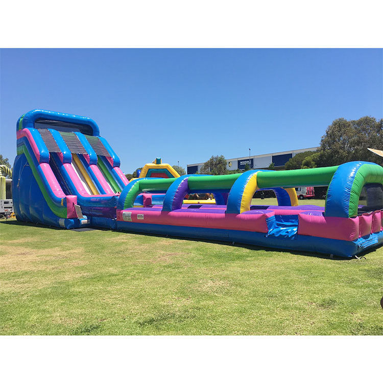Scivolo gonfiabile in acqua scivolo di salto Pvc 18ft delfino scivolo d'acqua per piscina