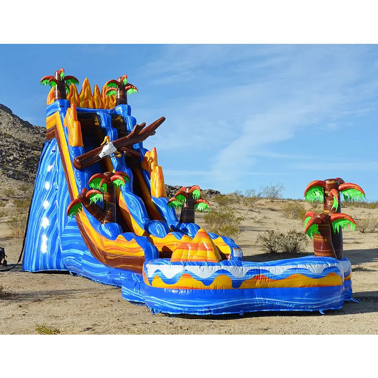 Tarpaulin gigante slide gonfiabili e scivoli d'acqua per i bambini Festa 0.55mm Pvc