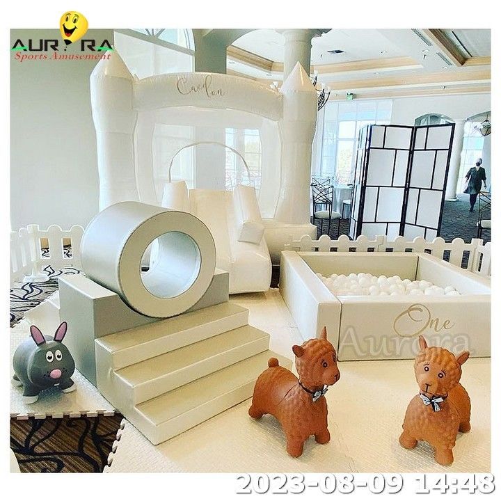 Pista da palla all'aperto Bambini Soft Play Set Area Indoor Inflatabile Bounce House